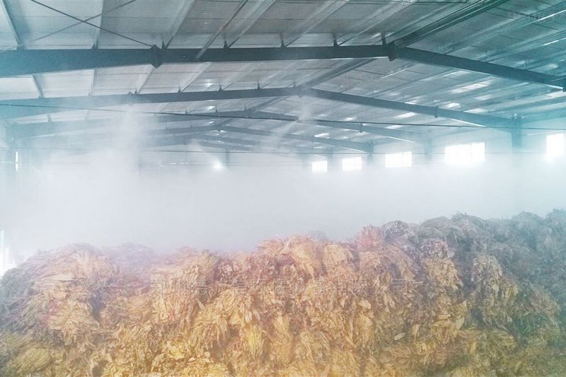提升煙葉加工質量，高效回潮很重要