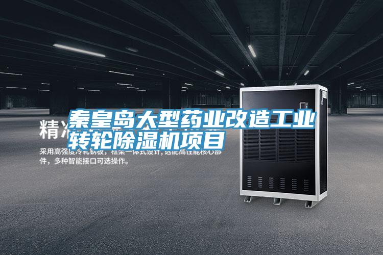 秦皇島大型藥業改造工業轉輪好色先生在线播放項目