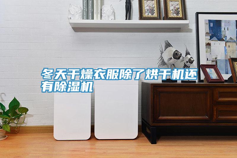 冬天幹燥衣服除了烘幹機還有好色先生在线播放