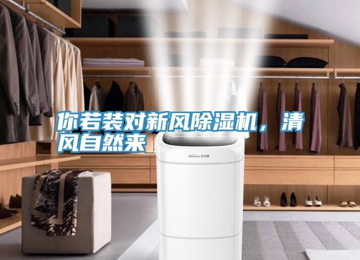 你若裝對新風好色先生在线播放，清風自然來