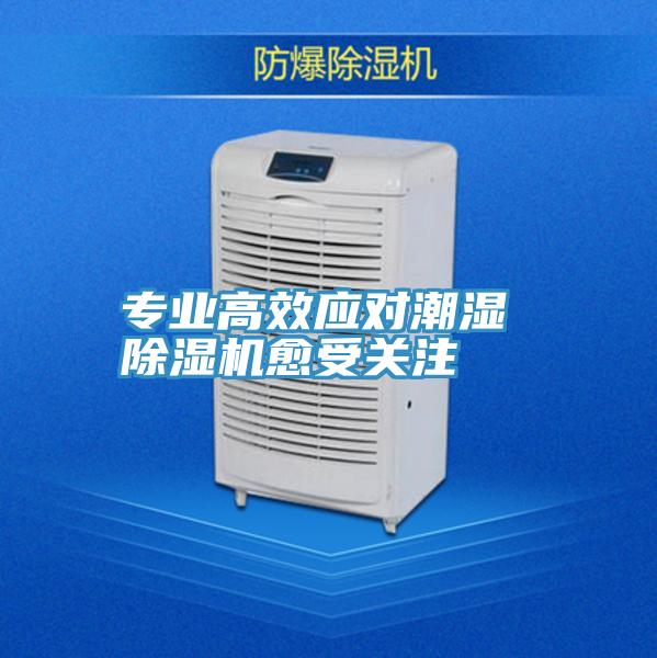 專業高效應對潮濕 好色先生在线播放愈受關注