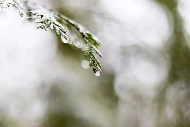 空氣濕度大帶來的危害有哪些，你知道嗎？