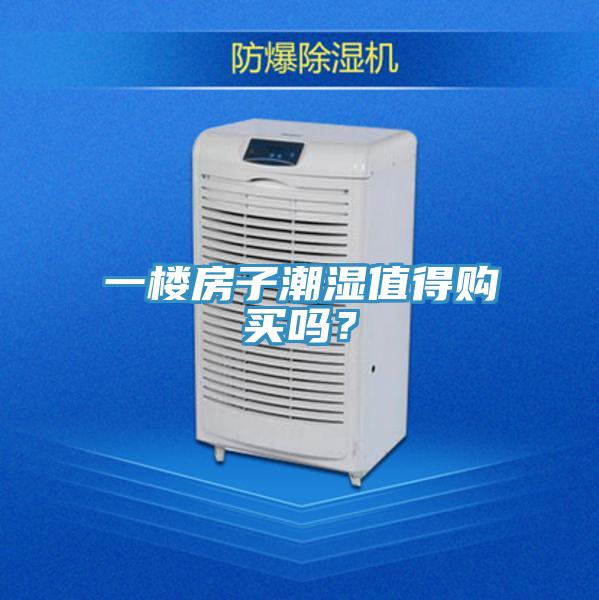 一樓房子潮濕值得購買嗎？