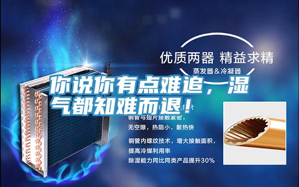 你說你有點難追，濕氣都知難而退！