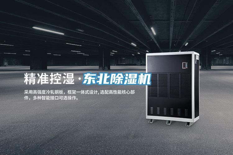 東北好色先生在线播放