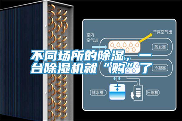不同場所的除濕，一台好色先生在线播放就“購”了