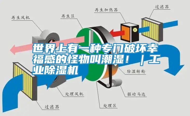世界上有一種專門破壞幸福感的怪物叫潮濕！｜工業好色先生在线播放