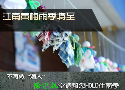 防潮好色先生在线播放