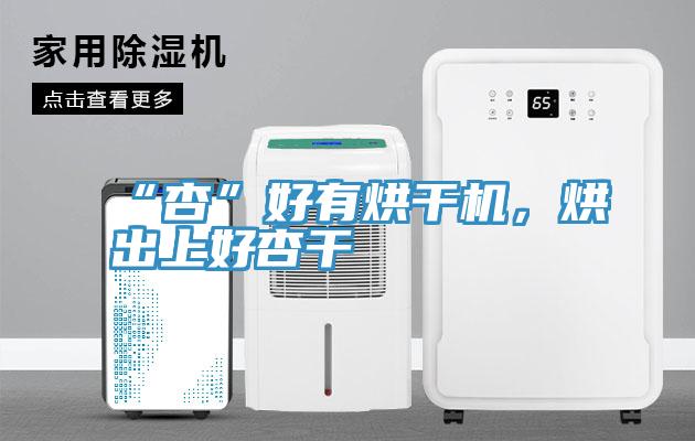 “杏”好有烘幹機，烘出上好杏幹