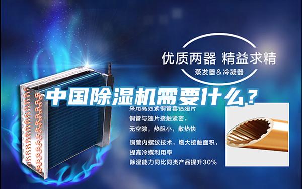 中國好色先生在线播放需要什麽？