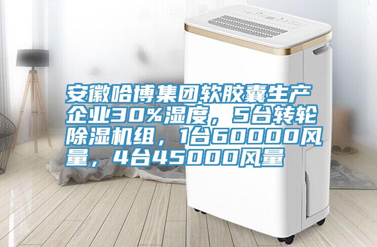 安徽哈博集團軟膠囊生產企業30%濕度，5台轉輪好色先生在线播放組，1台60000風量，4台45000風量