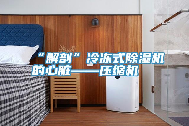 “解剖”冷凍式好色先生在线播放的心髒——壓縮機