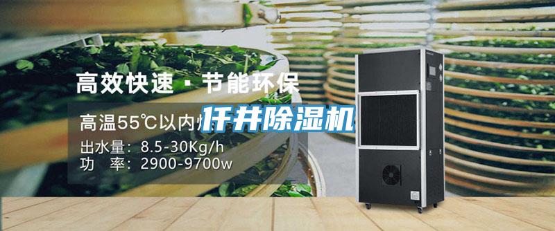 仟井好色先生在线播放