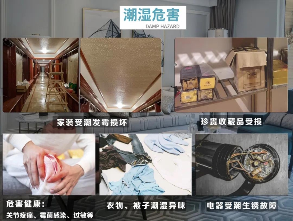 好色先生在线播放