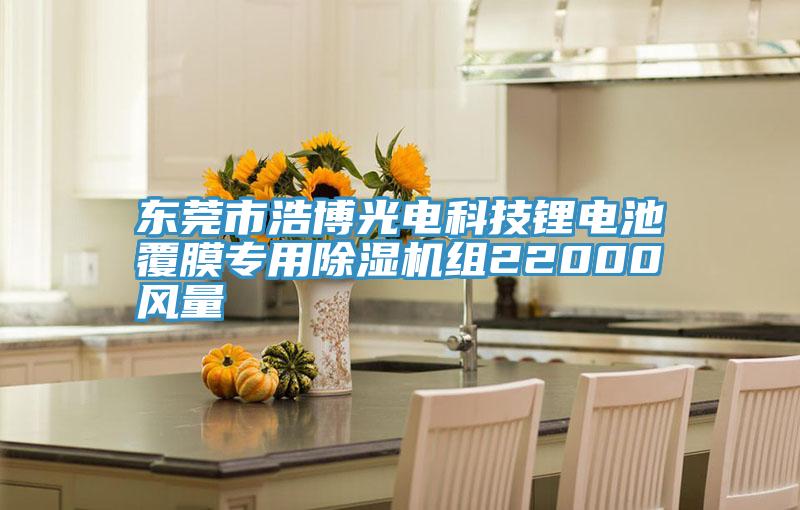 東莞市浩博光電科技鋰電池覆膜專用好色先生在线播放組22000風量