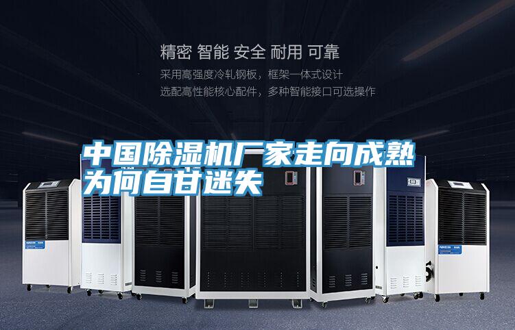 中國好色先生在线播放廠家走向成熟 為何自甘迷失