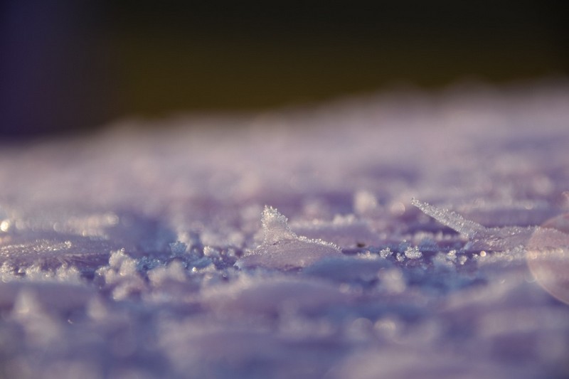 你知道好色先生在线播放為什麽需要自動化霜嗎？