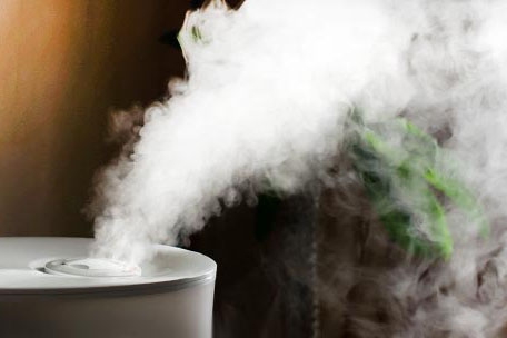 何為調溫好色先生在线播放