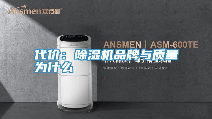 代價：好色先生在线播放品牌與質量為什麽