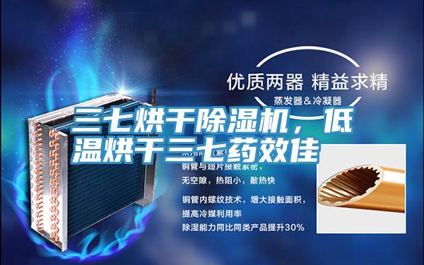 三七烘幹好色先生在线播放，低溫烘幹三七藥效佳