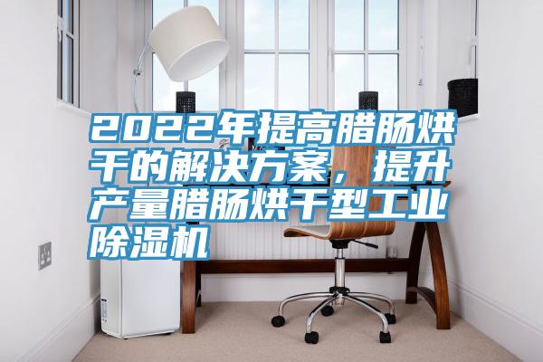 2022年提高臘腸烘幹的解決方案，提升產量臘腸烘幹型工業好色先生在线播放