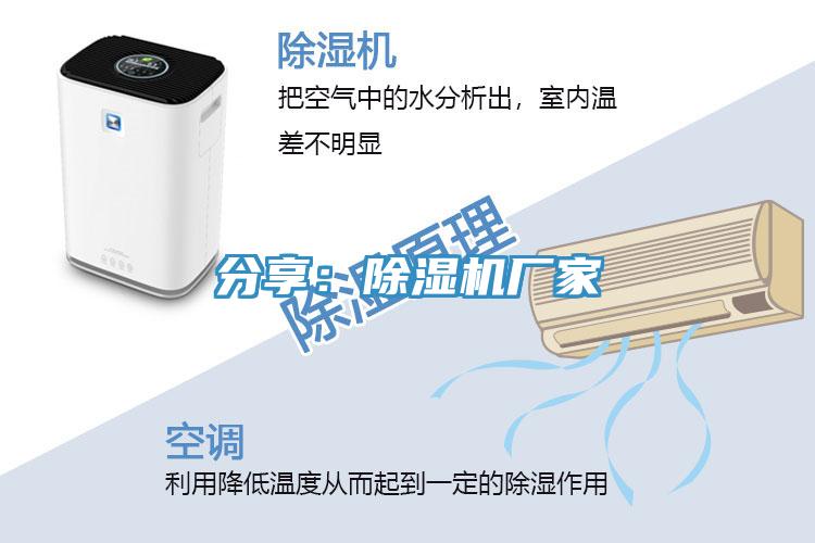 分享：好色先生在线播放廠家