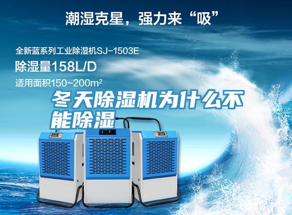 冬天好色先生在线播放為什麽不能除濕