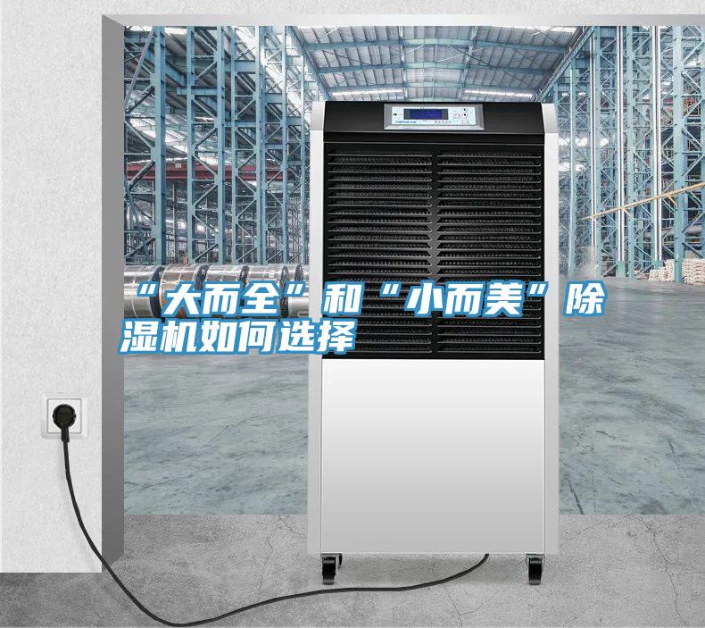 “大而全”和“小而美”好色先生在线播放如何選擇