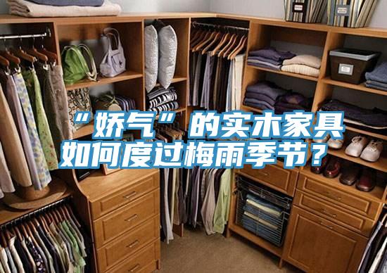 “嬌氣”的實木家具如何度過梅雨季節？