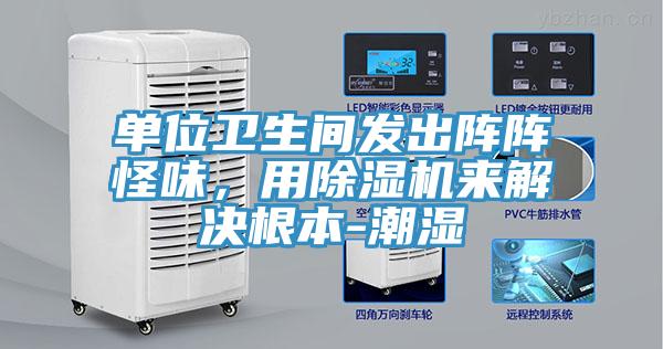 單位衛生間發出陣陣怪味，用好色先生在线播放來解決根本-潮濕