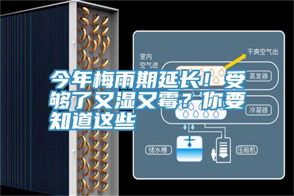 今年梅雨期延長！受夠了又濕又黴？你要知道這些