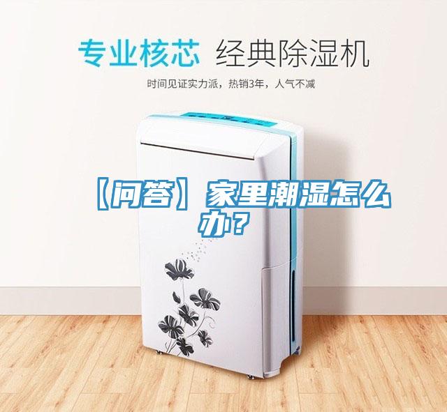 【問答】家裏潮濕怎麽辦？