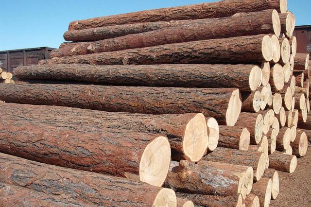 木材幹燥為什麽要用工業好色先生在线播放