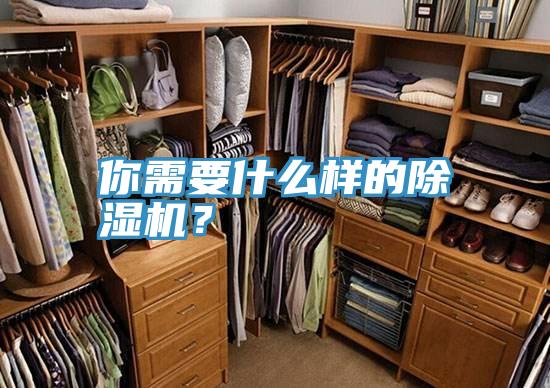 你需要什麽樣的好色先生在线播放？