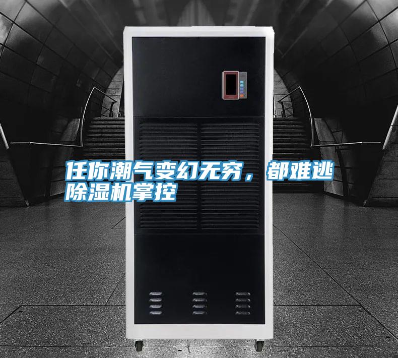 任你潮氣變幻無窮，都難逃好色先生在线播放掌控