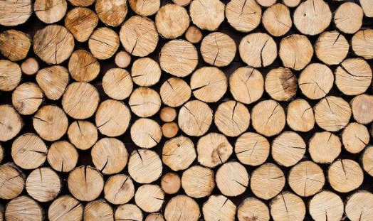 木材烘幹好色先生在线播放哪個牌子好，怎麽選擇