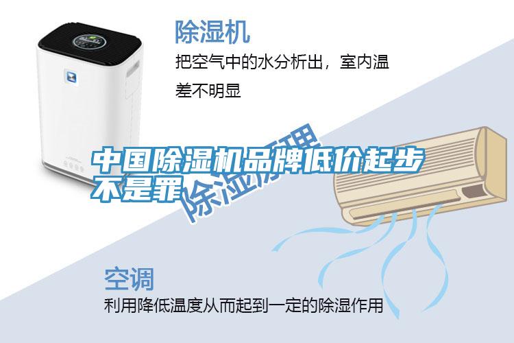 中國好色先生在线播放品牌低價起步不是罪