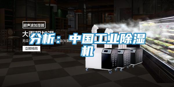 分析：中國工業好色先生在线播放