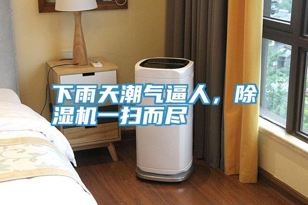 下雨天潮氣逼人，好色先生在线播放一掃而盡