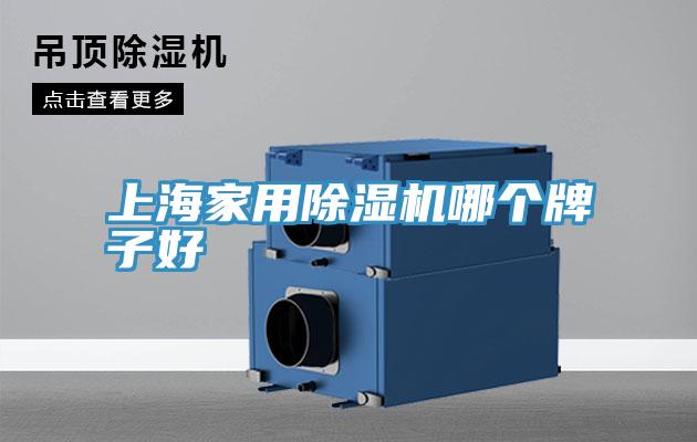 上海家用好色先生在线播放哪個牌子好