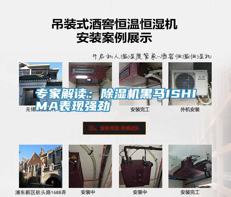 專家解讀：好色先生在线播放黑馬ISHIMA表現強勁