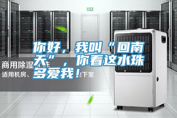 你好，我叫“回南天”，你看這水珠多愛我！