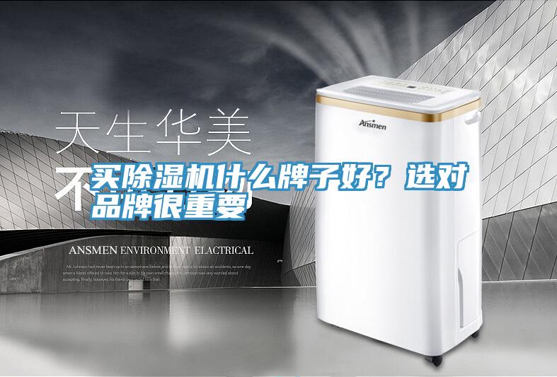 買好色先生在线播放什麽牌子好？選對品牌很重要