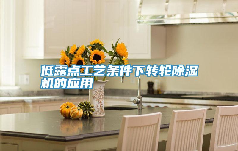 低露點工藝條件下轉輪好色先生在线播放的應用