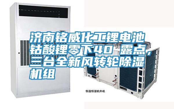 濟南銘威化工鋰電池鈷酸鋰零下40℃露點，三台全新風轉輪好色先生在线播放組