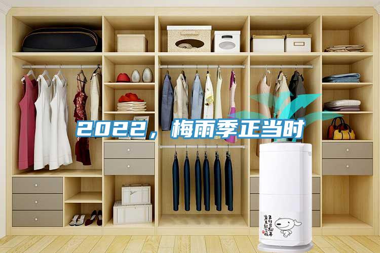 2022，梅雨季正當時