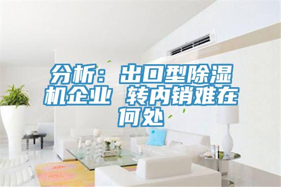 分析：出口型好色先生在线播放企業 轉內銷難在何處