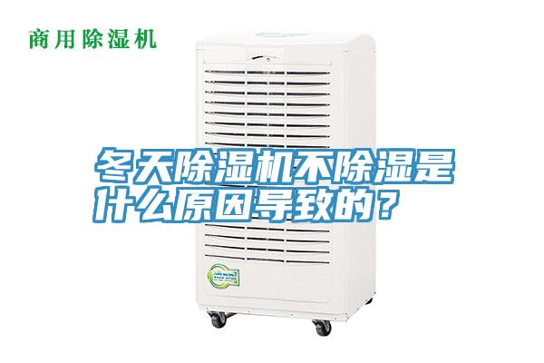 冬天好色先生在线播放不除濕是什麽原因導致的？