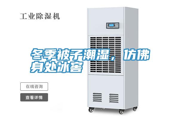 冬季被子潮濕，仿佛身處冰窖