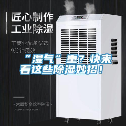 “濕氣”重？快來看這些除濕妙招！